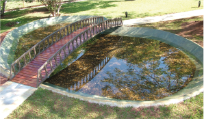 Lago Ornamental
